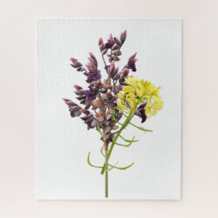 Blume