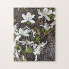 Blume