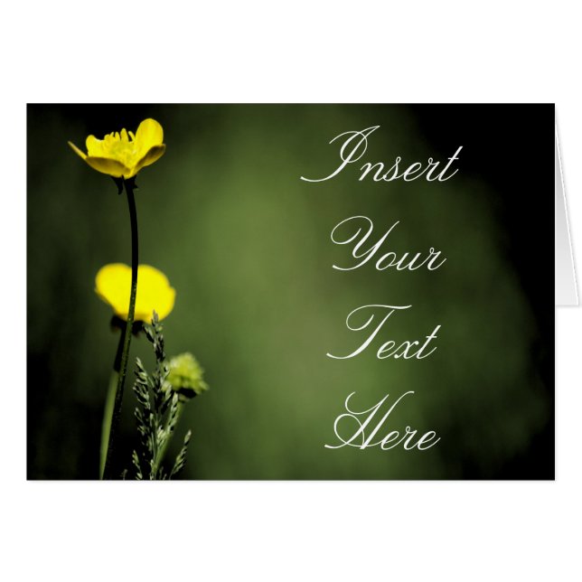 Blume (Vorderseite (Horizontal))