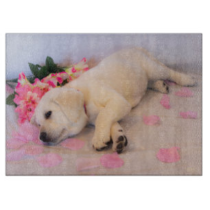 Blume 01 schneidebrett