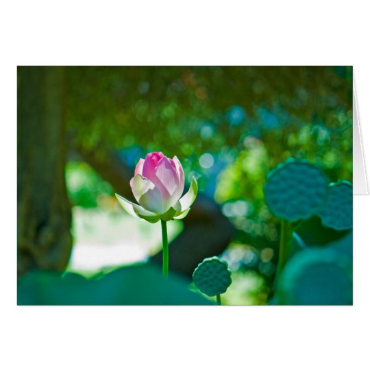 Blume #0428 karte