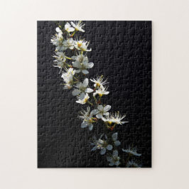 Blume 11x14 252pc jpcnm