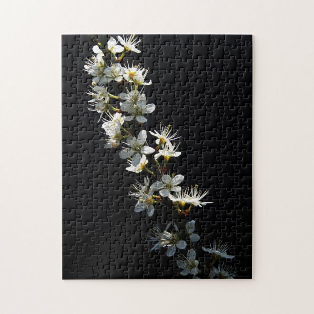 Blume 11x14 252pc jpcnm (Vertikal)