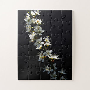 Blume 11x14 30pc jpcnm