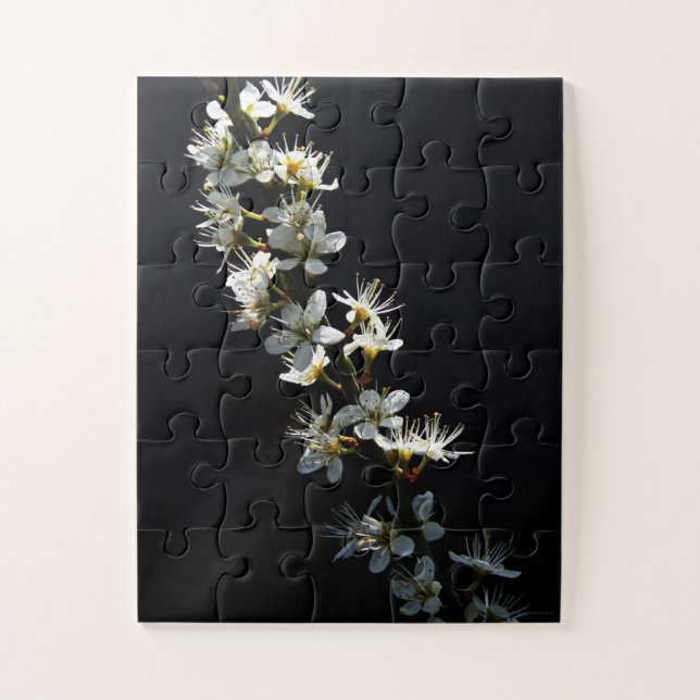 Blume 11x14 30pc jpcnm (Vertikal)