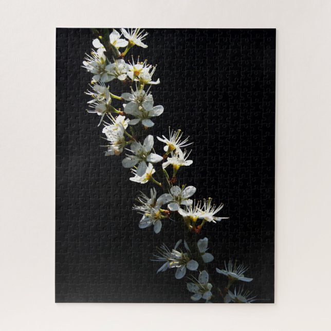 Blume 16x20 520pc jpcnm (Vertikal)