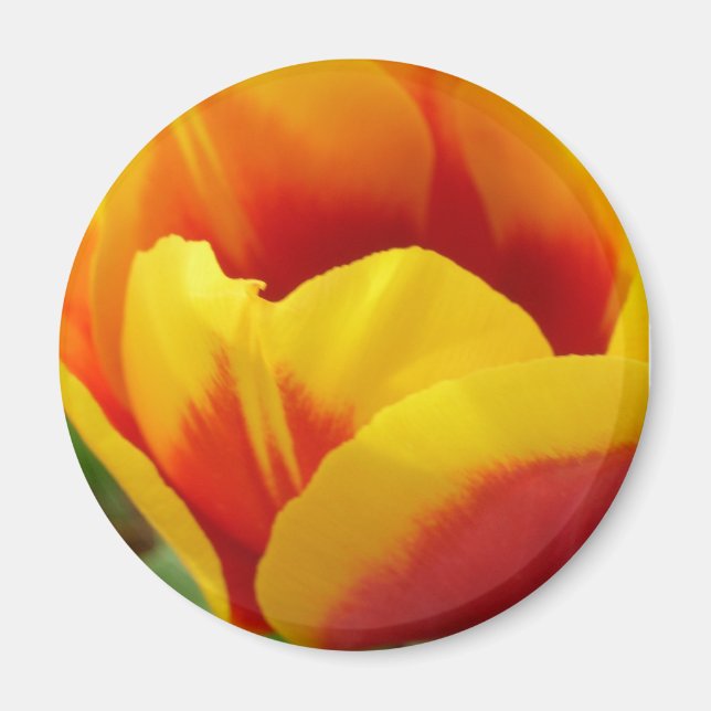 BLUME 1 MAGNET (Vorne)