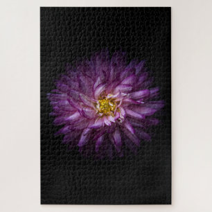 Blume 20