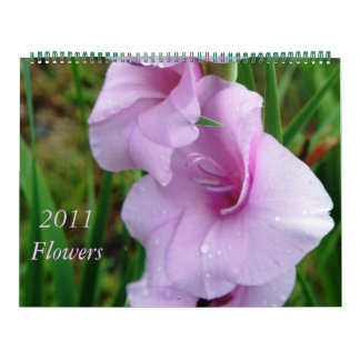 Blume 2011 kalender