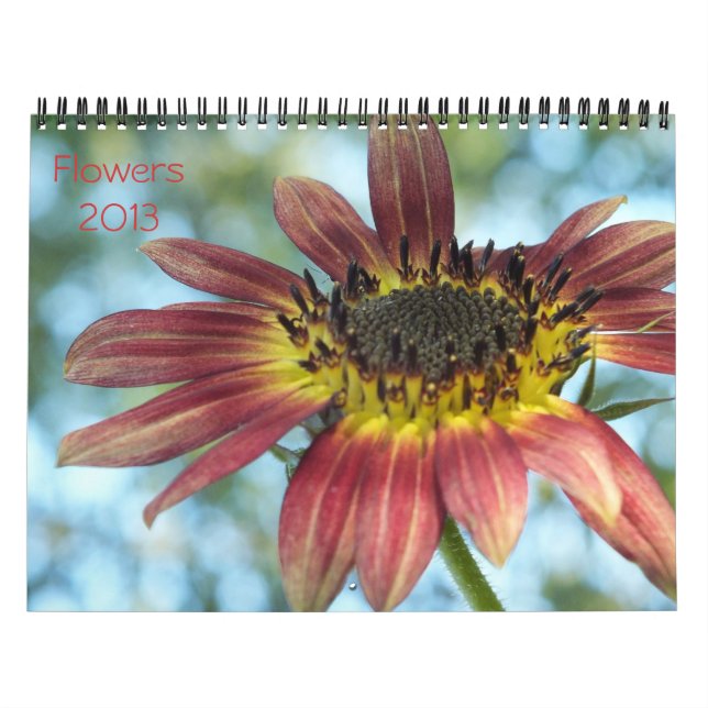 Blume 2013 Kalender (Titelbild)