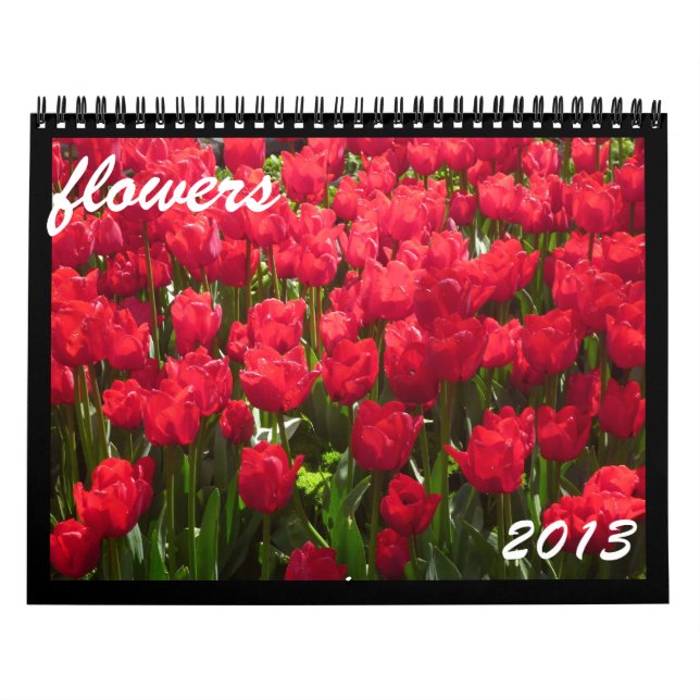 Blume 2013 kalender (Titelbild)
