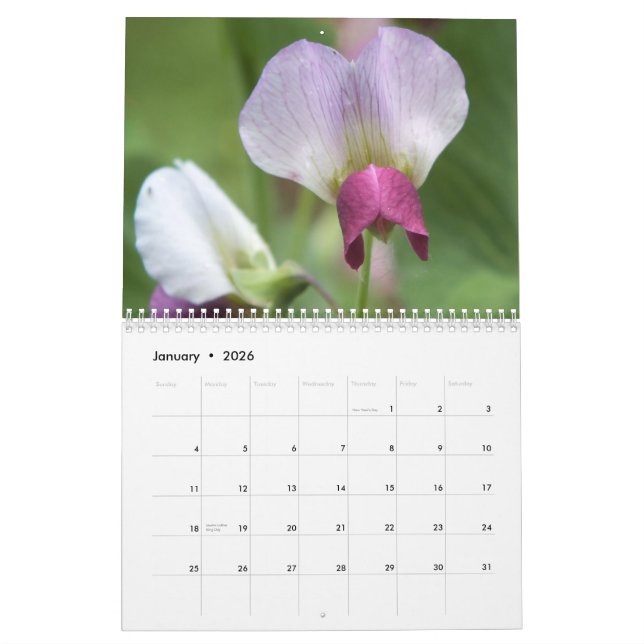 BLUME 2013 KALENDER (16 MONATE) (Jan 2026)
