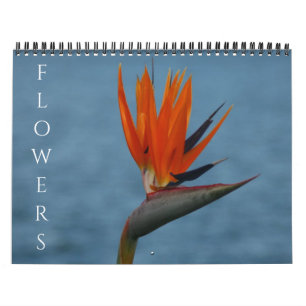Blume 2026 kalender