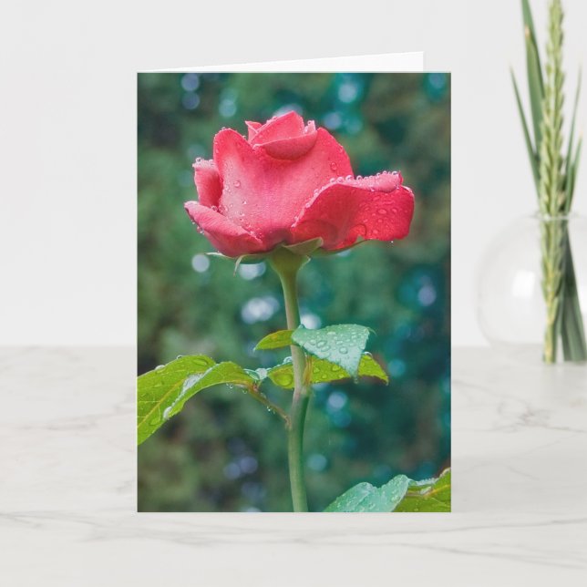 Blume #2092 karte (Vorderseite)