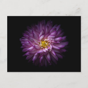 Blume 20 postkarte