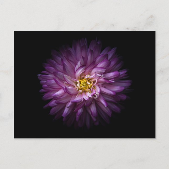 Blume 20 postkarte (Vorderseite)
