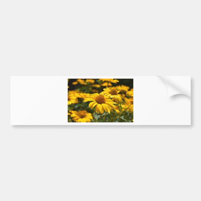 Blume-2824808 Autoaufkleber (Vorne)
