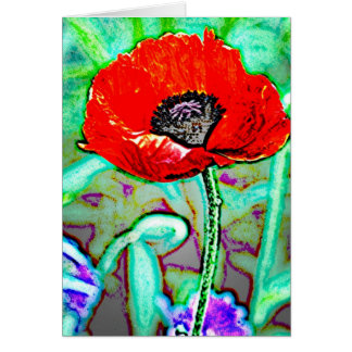 Blume 3