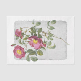 Blume 45 rosafarbenes Tissue Paper Seidenpapier