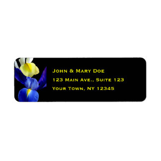 Blume 4b