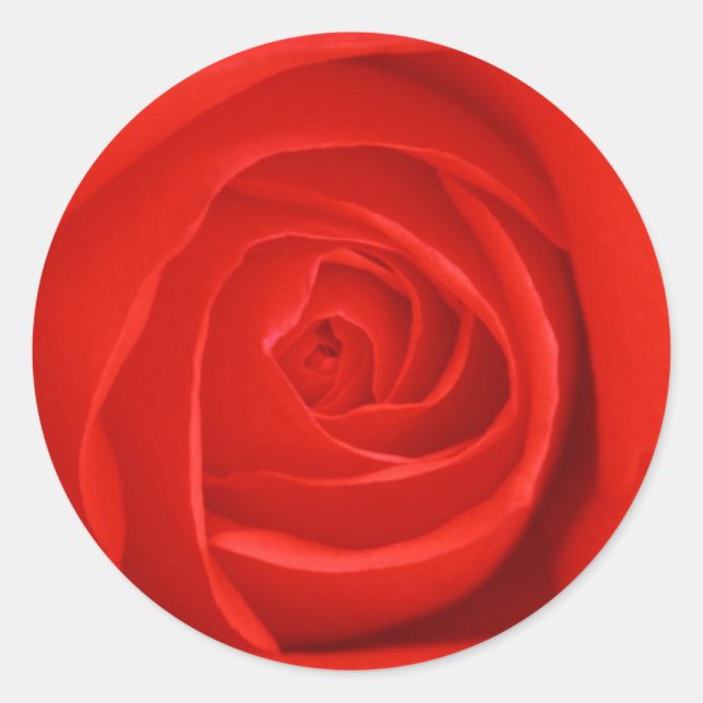 Blume 55 runder aufkleber (Vorderseite)