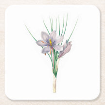 Blume: A007 Herbstkreuz -