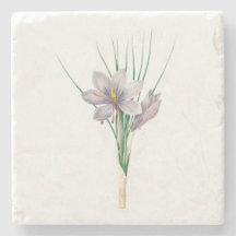 Blume: A007 Herbstkreuz -