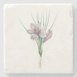 Blume: A007 Herbstkreuz - Steinuntersetzer