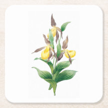 Blume: A011 Gelbe Dame Slipper -