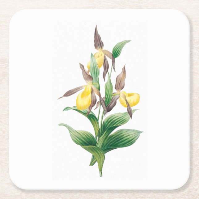 Blume: A011 Gelbe Dame Slipper - Rechteckiger Pappuntersetzer (Vorderseite)