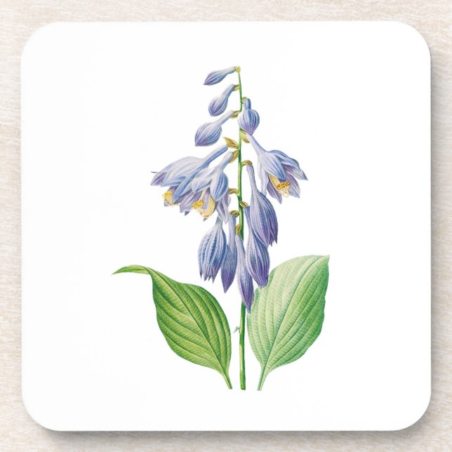 Blume: A012-Taglilie - Getränkeuntersetzer (Vorderseite)