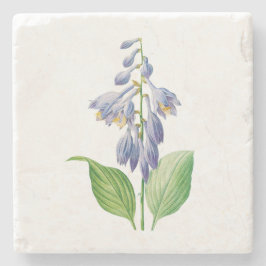 Blume: A012-Taglilie - Steinuntersetzer