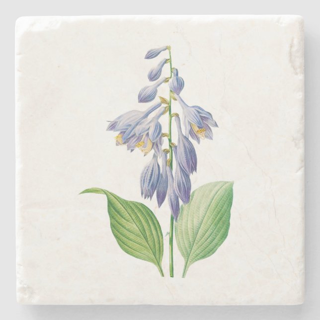 Blume: A012-Taglilie - Steinuntersetzer (Vorderseite)