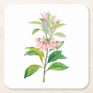 Blume: A013 Redvein Enkianthus - Rechteckiger Pappuntersetzer