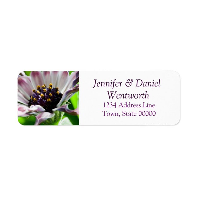 Blume Address Labels Daisy (Vorne)
