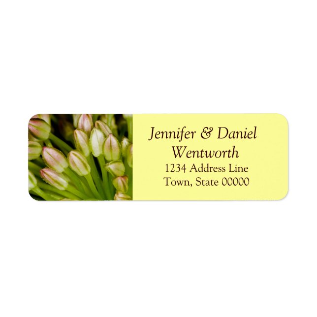 Blume Address Labels Tulips (Vorne)