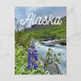 Blume Alaska Postcard Postkarte