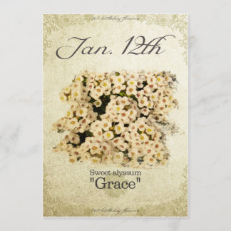 Blume am 12. Januar "Sweet alyssum" Karte