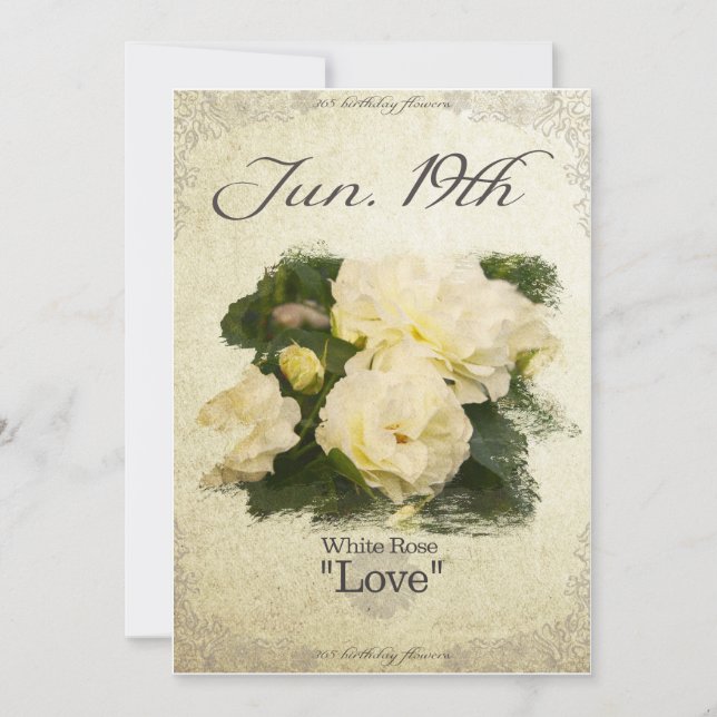 Blume am 19. Juni "White Rose" Karte (Vorderseite)