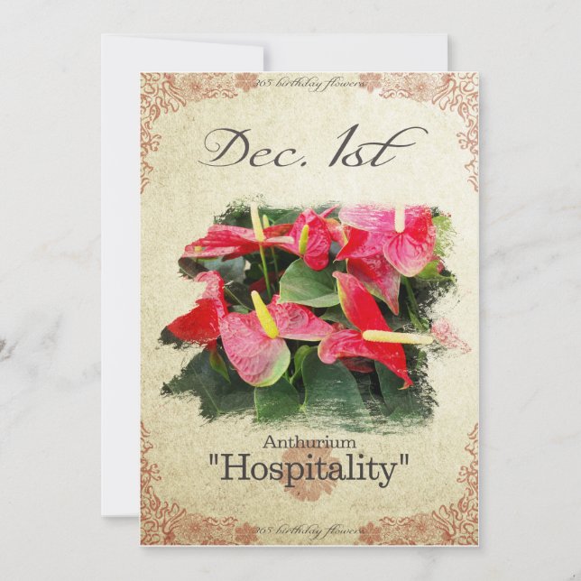 Blume am 1. Dezember "Anthurium" Karte (Vorderseite)