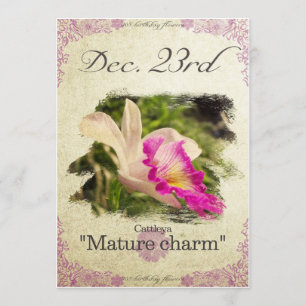 Blume am 23. Dezember "Cattleya" Karte
