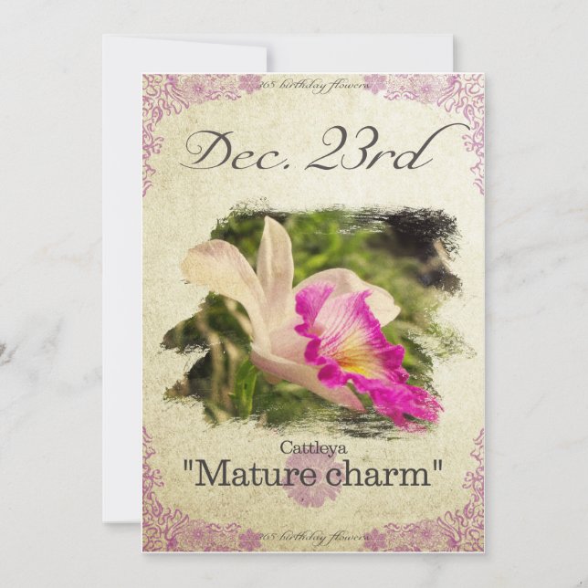 Blume am 23. Dezember "Cattleya" Karte (Vorderseite)