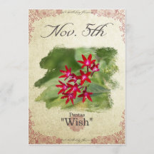 Blume am 5. November "Pentas"