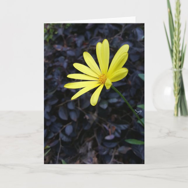 Blume am Festival Notecards (freier Raum nach Karte (Vorderseite)