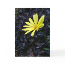 Blume am Festival Notecards (freier Raum nach