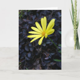 Blume am Festival Notecards (freier Raum nach Karte