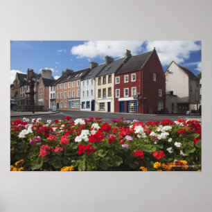 Blume an einer Straße in einem Wohnviertel Poster