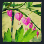 Blume Asiatische Blutungen Halstuch<br><div class="desc">2025</div>