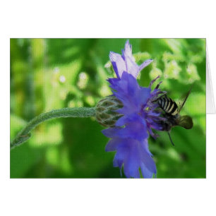 Blume auf Button-Jeden Anlässen Grußkarte