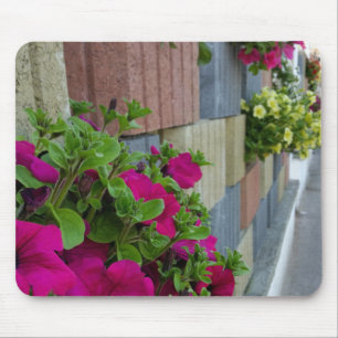 Blume auf dem Gehweg Mousepad